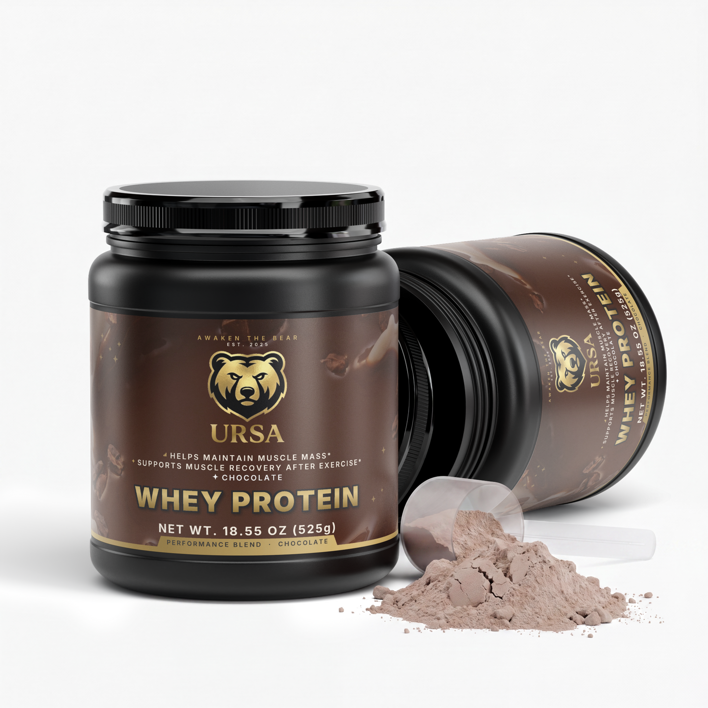 Performance Whey Protein Blend (Chocolate)