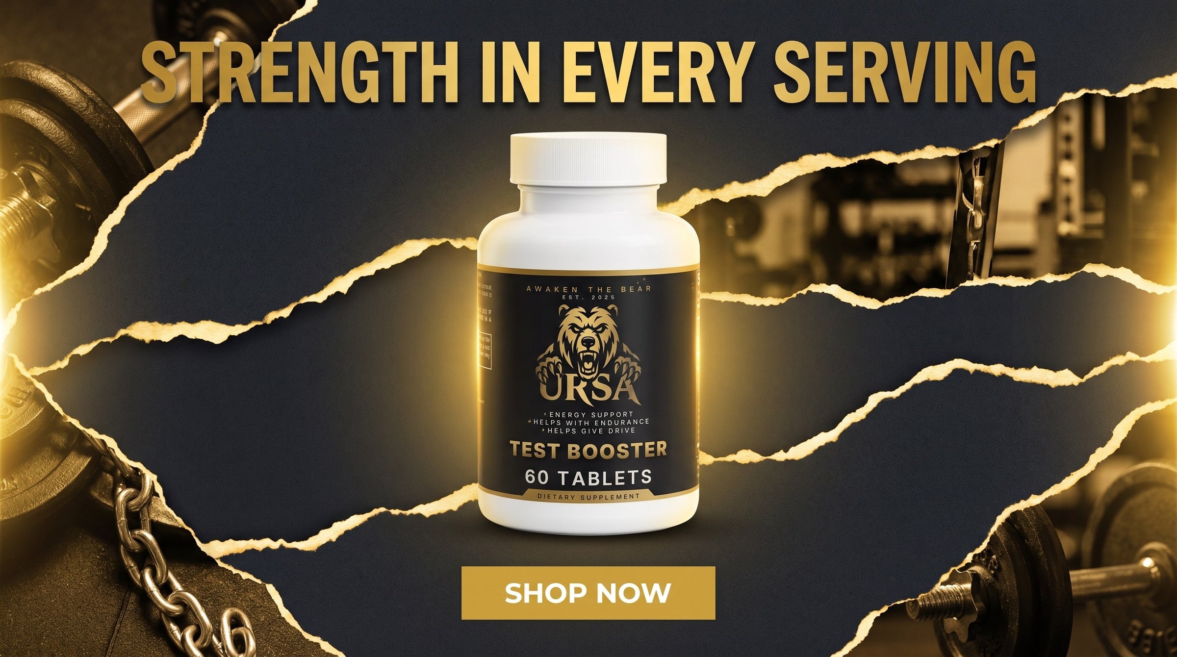 URSA Test Booster, 60 tablets, against torn gold and gym iron